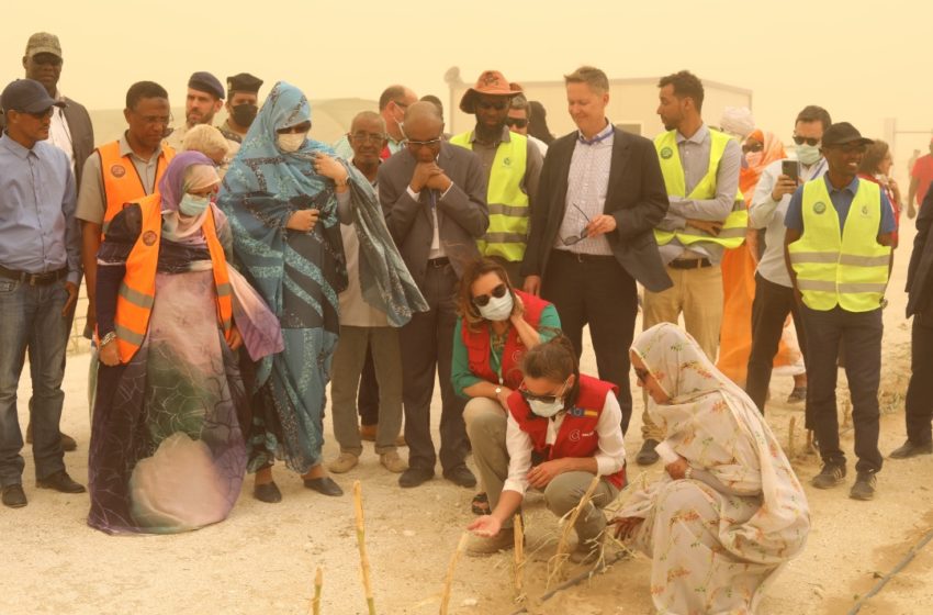 La Reine d’Espagne visite le périmètre agricole de la Région de Nouakchott