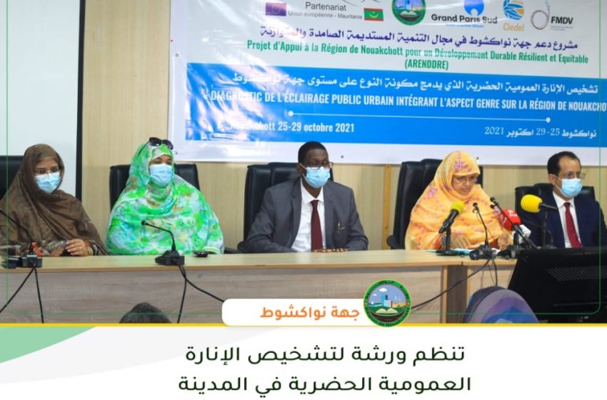  رئيسة جهة نواكشوط تشرف على انطلاق ورشة لتشخيص الإنارة العمومية في المدينة