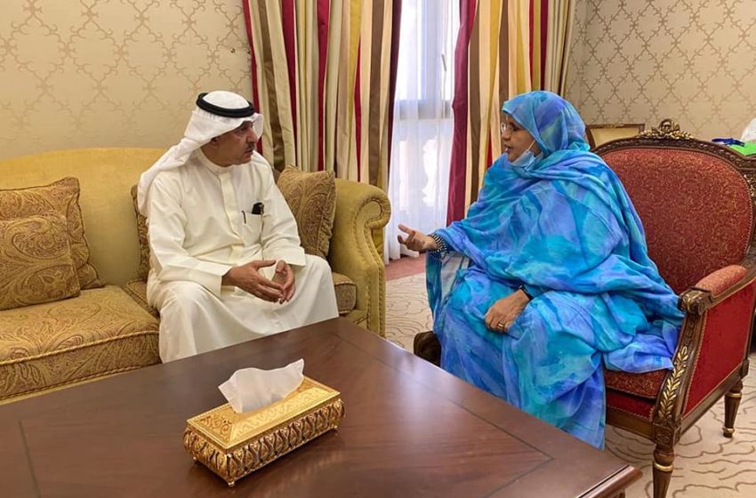  الرئيسة تلتقي الامين العام لمنظمة المدن العربية