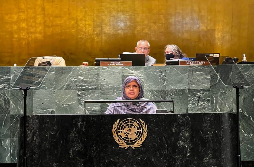  الرئيسة تلقي خطابا أمام الجمعية العامة للأمم المتحدة بنيويورك